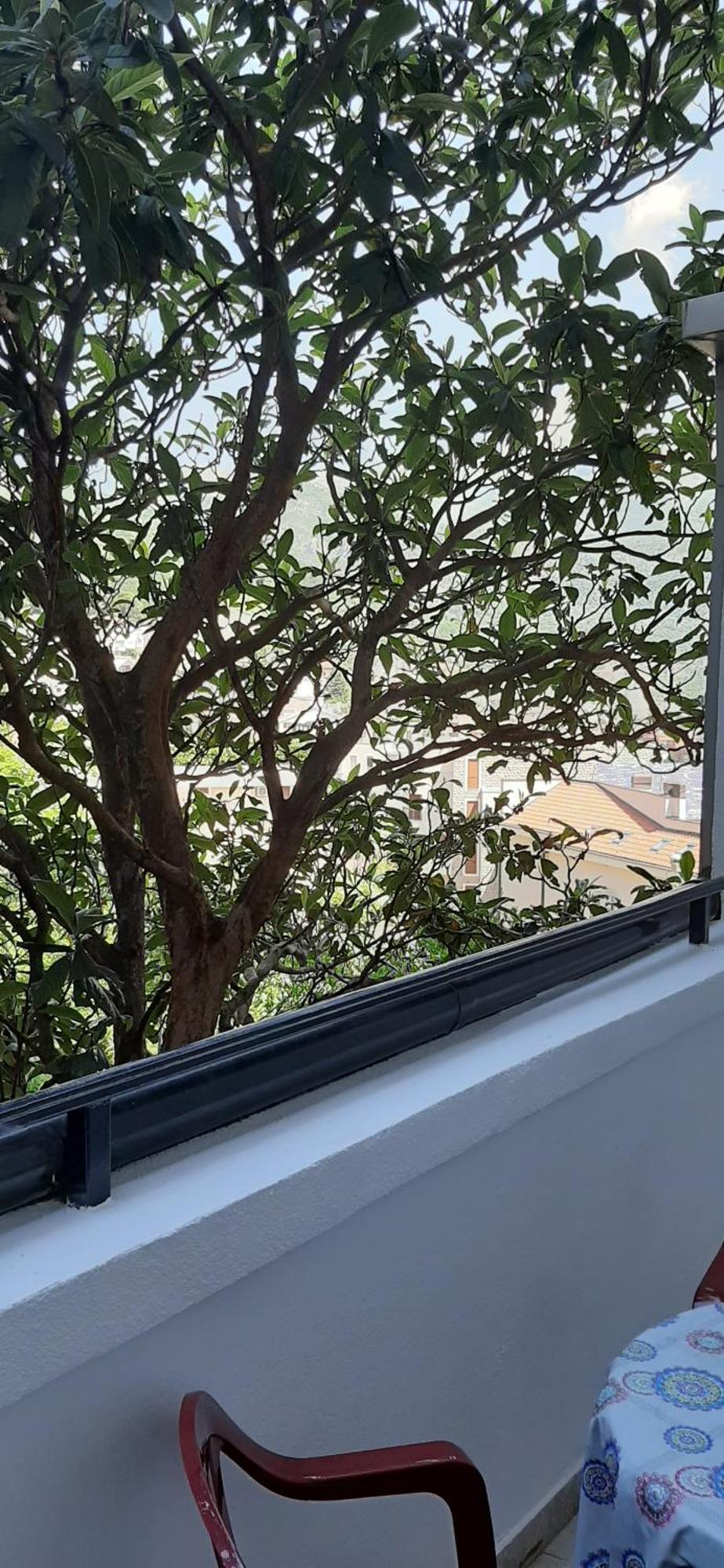 Iskra Apartment Budva Exterior photo